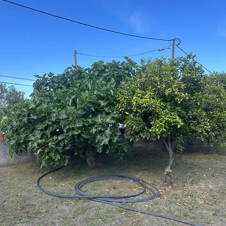 Casa Silva Barreiro Santo Antonio da Charneca