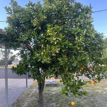 Casa Silva Barreiro Сasa de vacaciones *