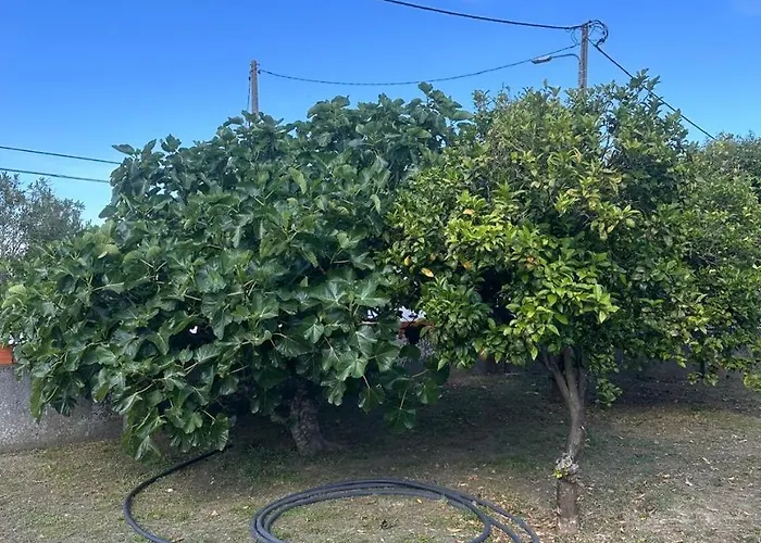 Casa Silva Barreiro Santo Antonio da Charneca