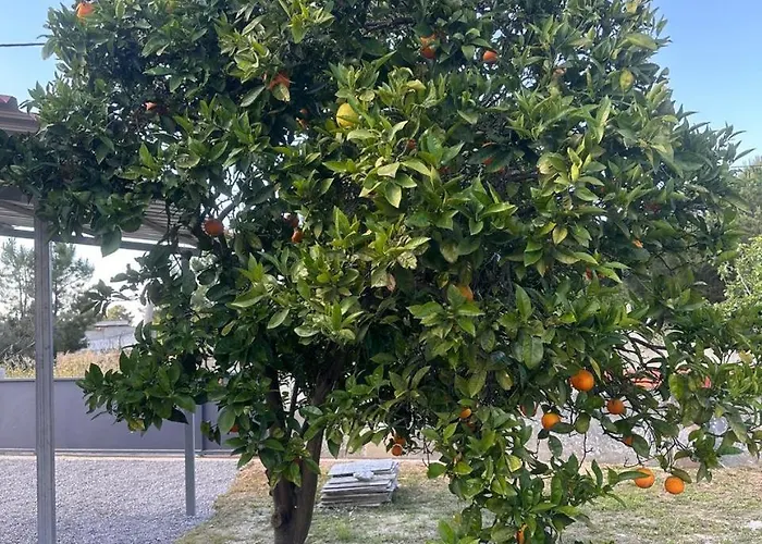 Casa Silva Barreiro Ferienhaus *